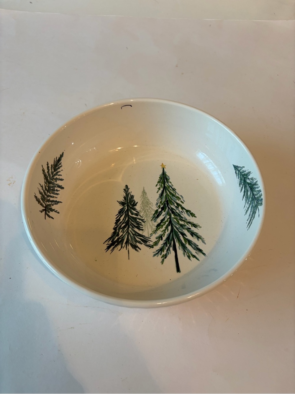 Pier 1 All Spruced Up Dinner Plate & Bowl Christmas Trees Ironstone - Picture 6 of 8